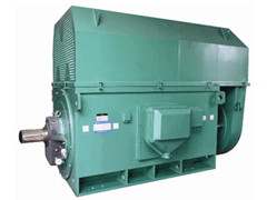 YJTGKK5603-6YKK系列高压电机
